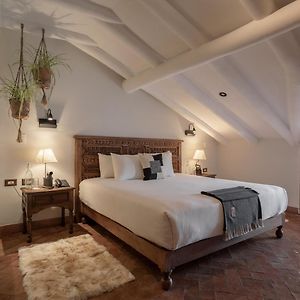 Suite Terrace